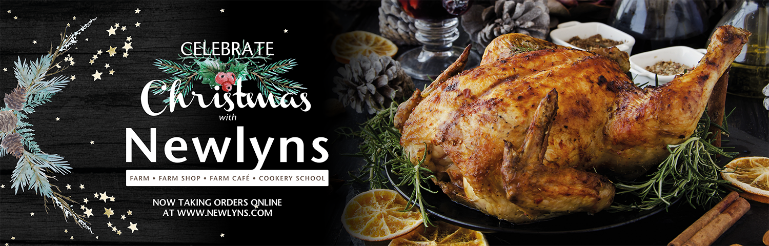 WD Newlyns Christmas 2020 Banner Web emma