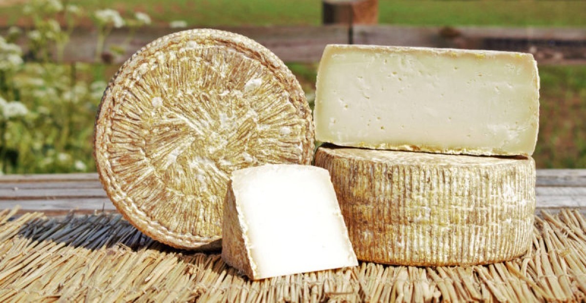 English Pecorino (cropped)