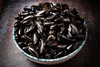 Newlyns_Fish_240419002
